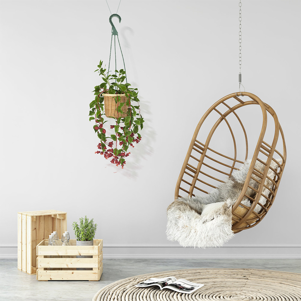 5Pcs Hanging Planter Hooks Set - Spider Plant Hanging บทวิจารณ์และราคา