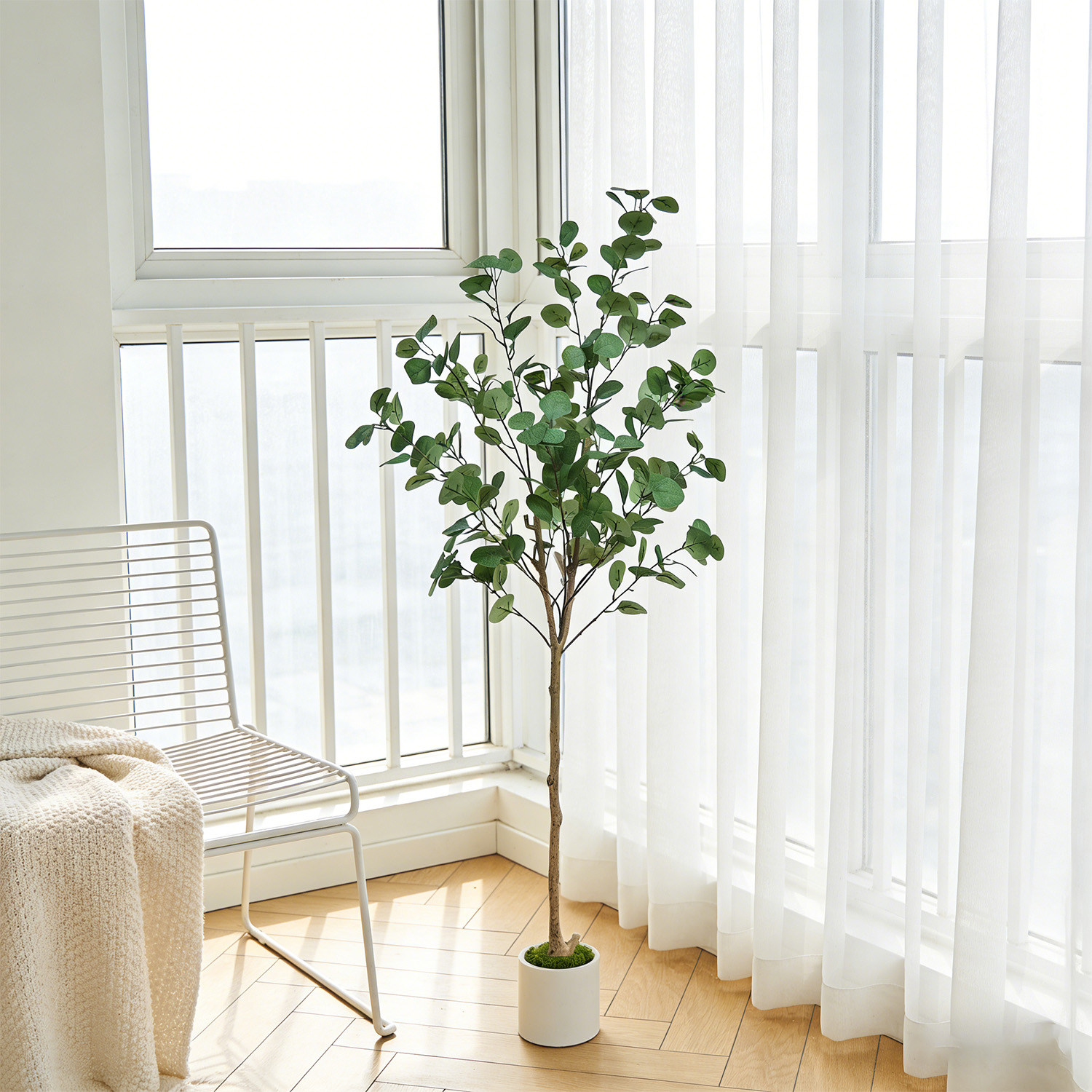 120-155Cm/5.1Ft Artificial Euc - Dracaena Marginata บทวิจารณ์และราคา
