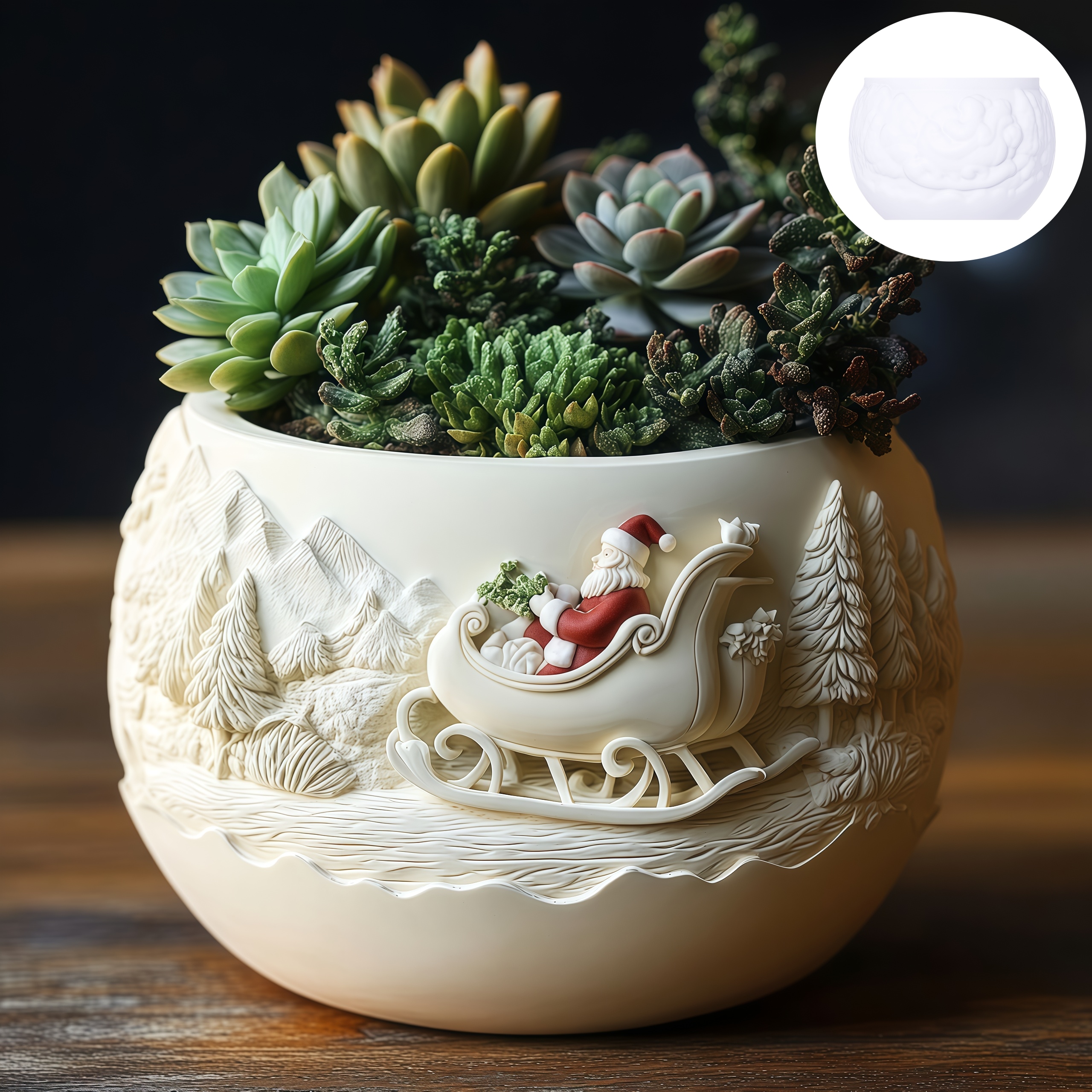 Cedar Sled Santa Claus Relief  - Echeveria Succulent บทวิจารณ์และราคา