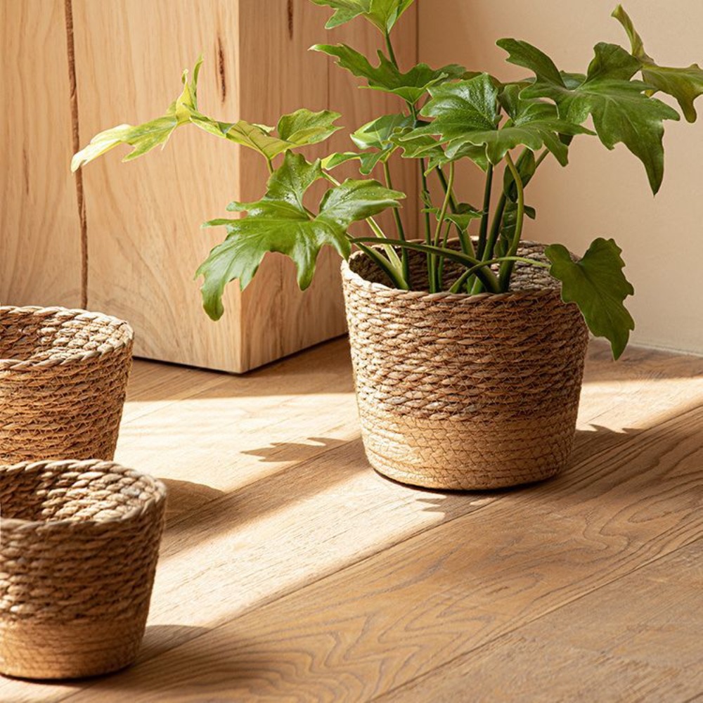 Straw Weaving Flower Plant Pot - Aloe Vera Pot บทวิจารณ์และราคา