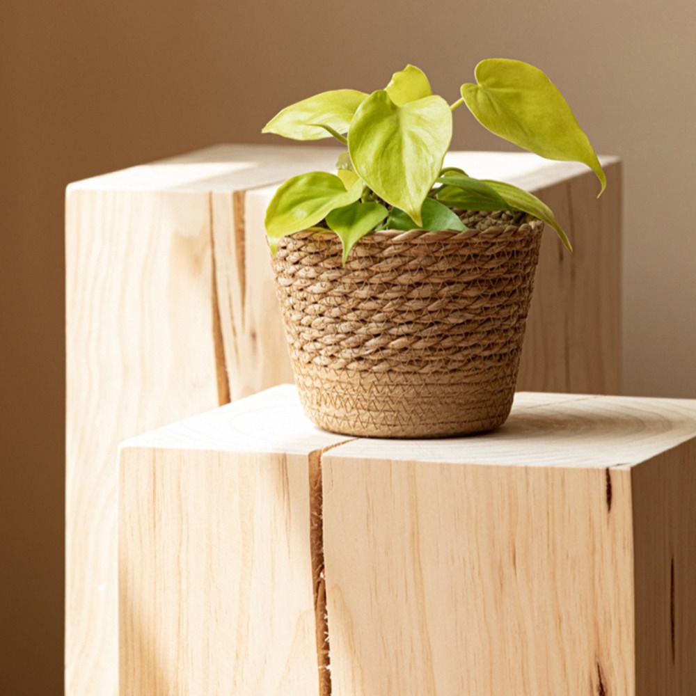 Straw Weaving Flower Plant Pot - Aloe Vera Pot บทวิจารณ์และราคา