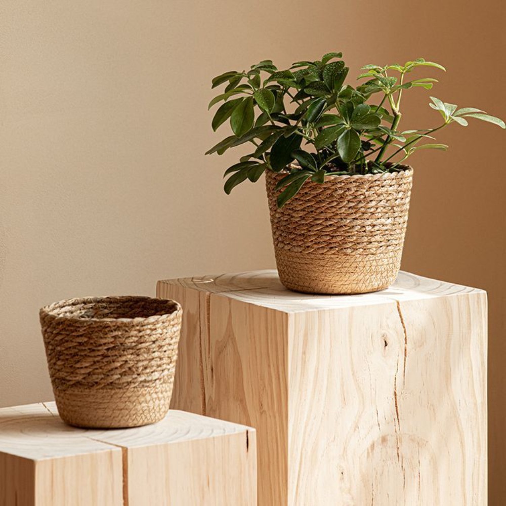 Straw Weaving Flower Plant Pot - Aloe Vera Pot บทวิจารณ์และราคา