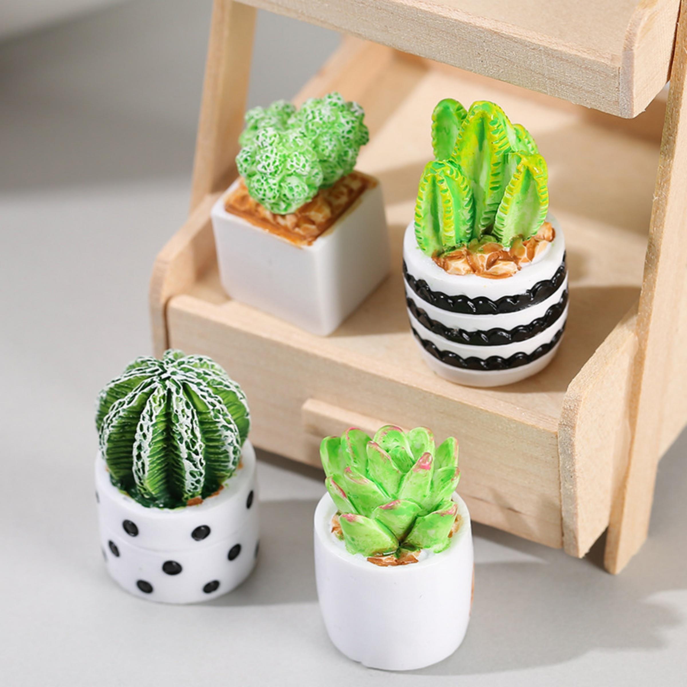 4-Piece Set of Cactus Succulen - Echeveria Succulent บทวิจารณ์และราคา