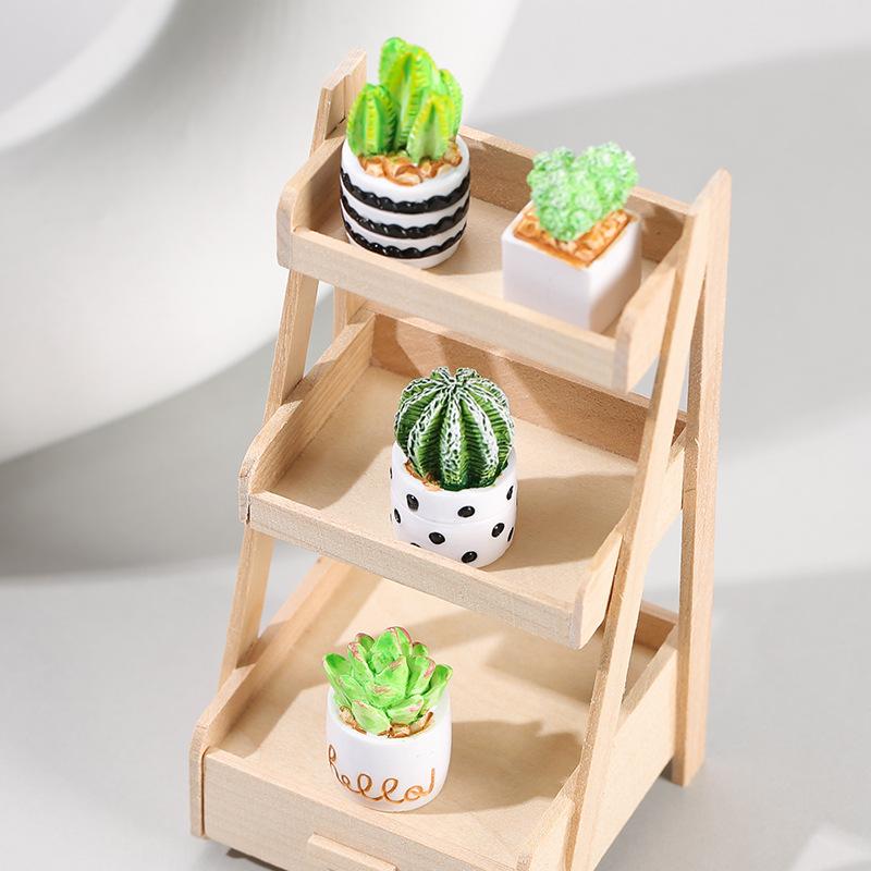 4-Piece Set of Cactus Succulen - Echeveria Succulent บทวิจารณ์และราคา