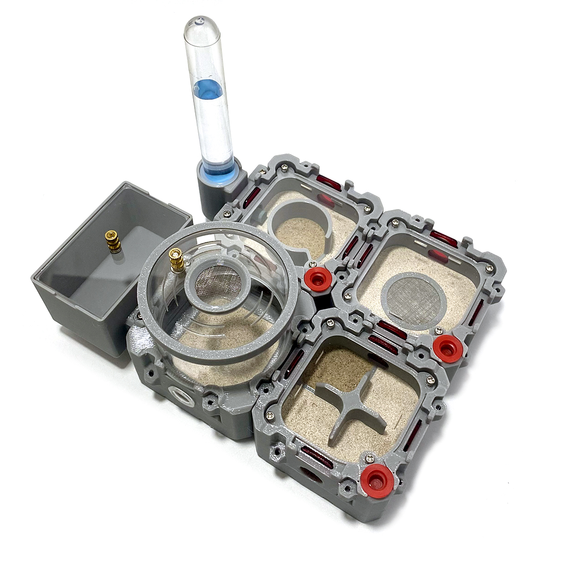 【Lego】Expandale Modular Formic - Begonia Rex บทวิจารณ์และราคา