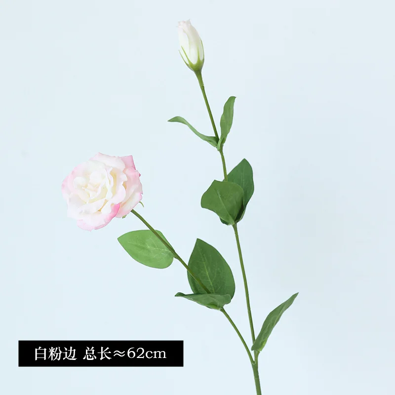 10Pcs/lot Moisturizing 2Head E - Ficus Lyrata Tree บทวิจารณ์และราคา
