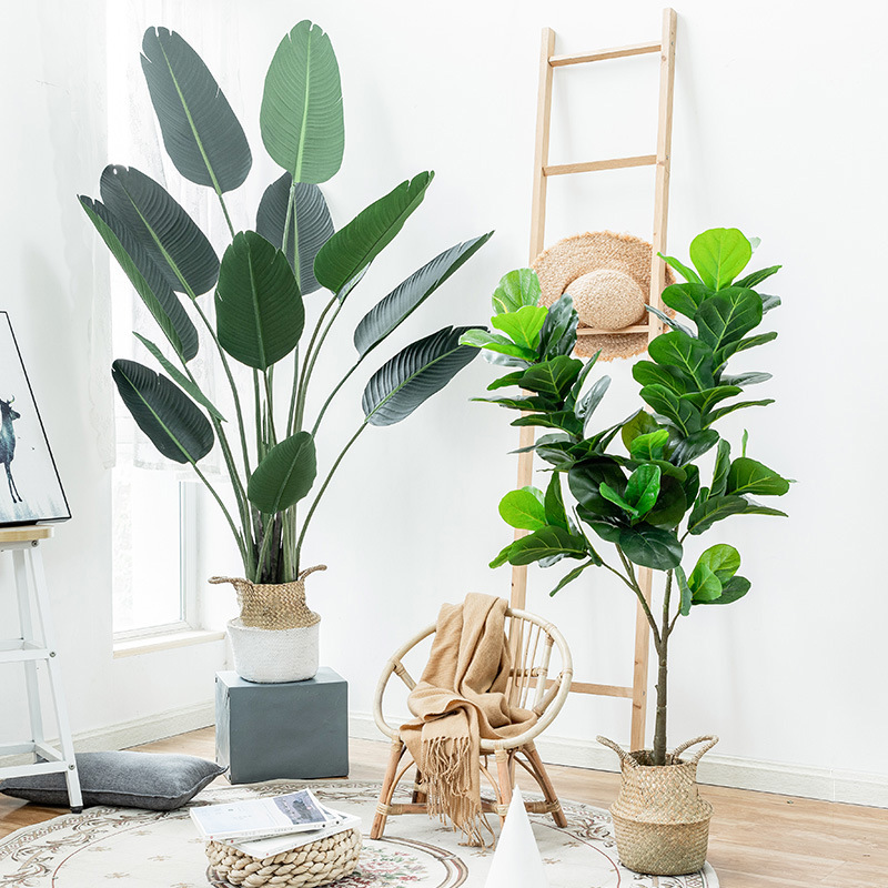 Simulation Palm Tree Artificia - Ficus Lyrata Tree บทวิจารณ์และราคา