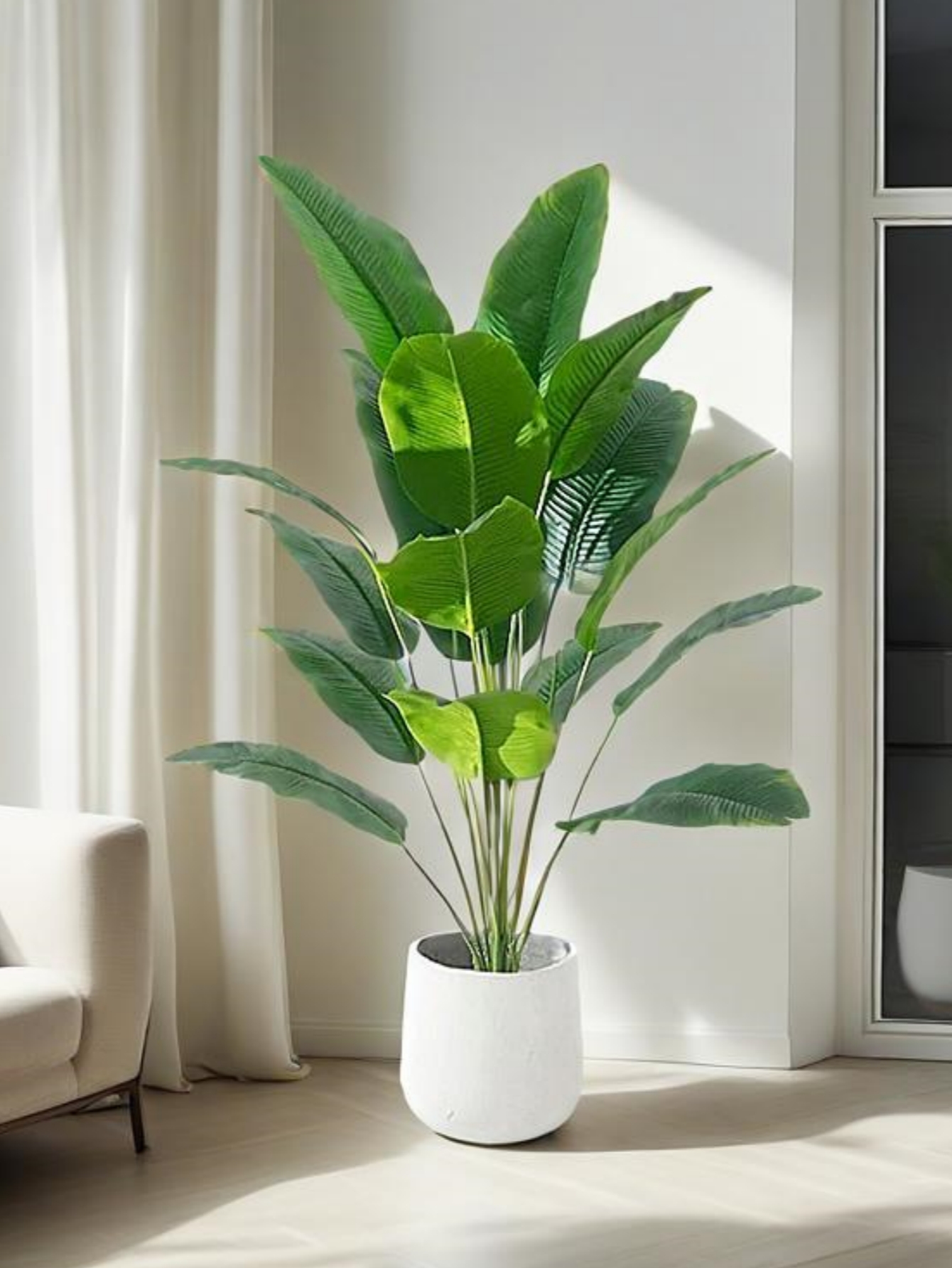 Artificial Banana Tree Fake Bi - Dracaena Marginata บทวิจารณ์และราคา