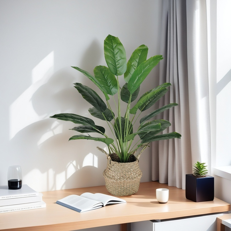 Artificial Banana Tree Fake Bi - Dracaena Marginata บทวิจารณ์และราคา