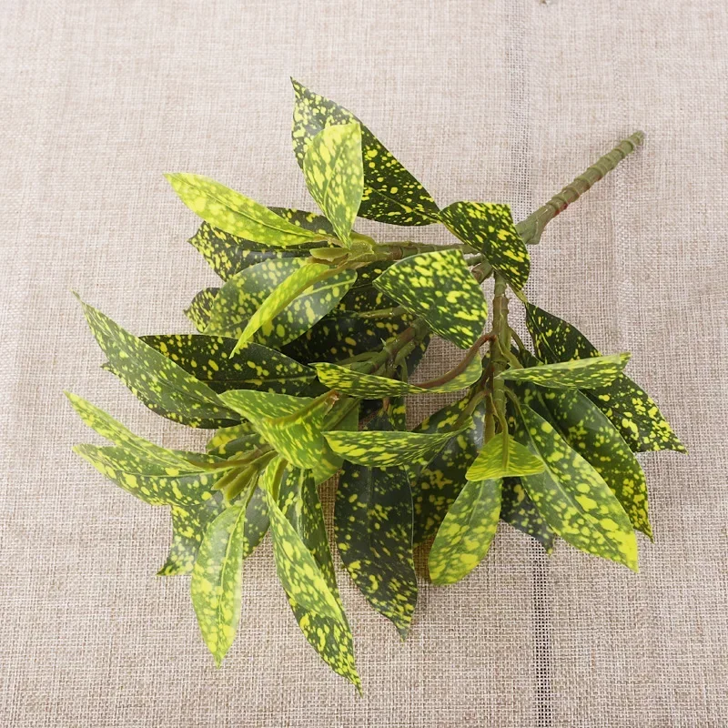 Plastic Artificial Color-chang - Dracaena Marginata บทวิจารณ์และราคา
