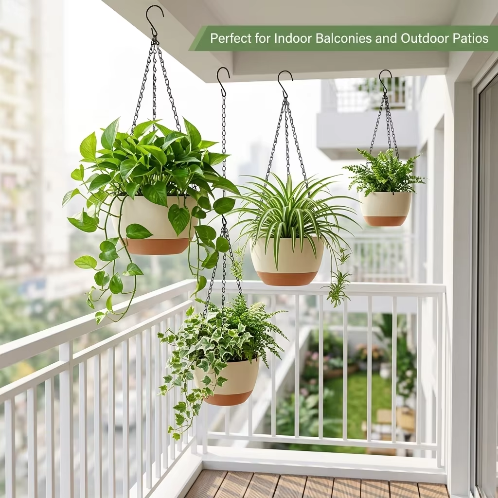 Modern Everyday Dual-Color Han - Spider Plant Hanging บทวิจารณ์และราคา