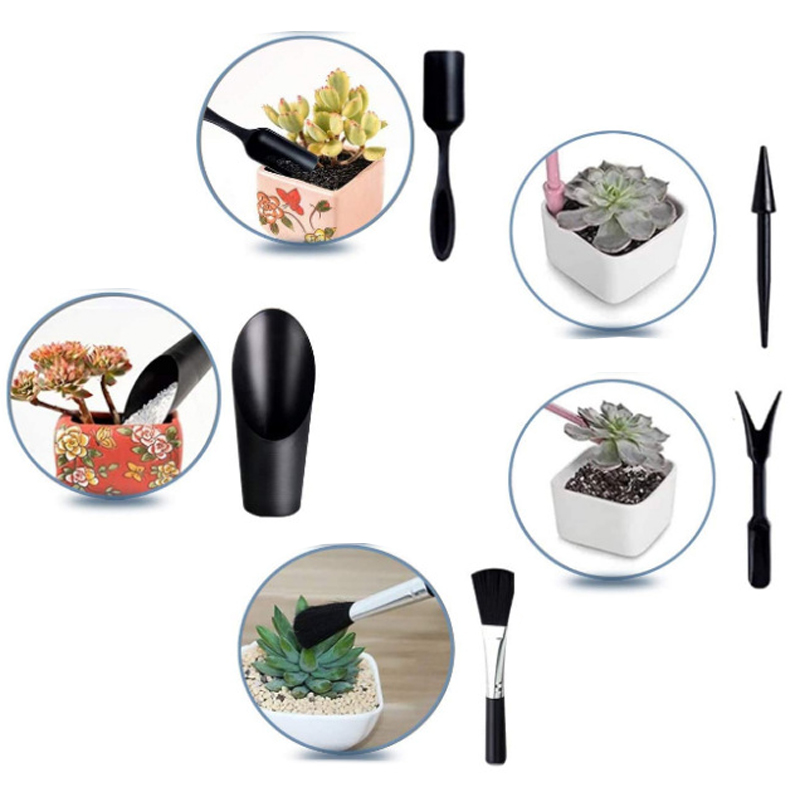 Mini Gardening Tool Set Label  - Echeveria Succulent บทวิจารณ์และราคา