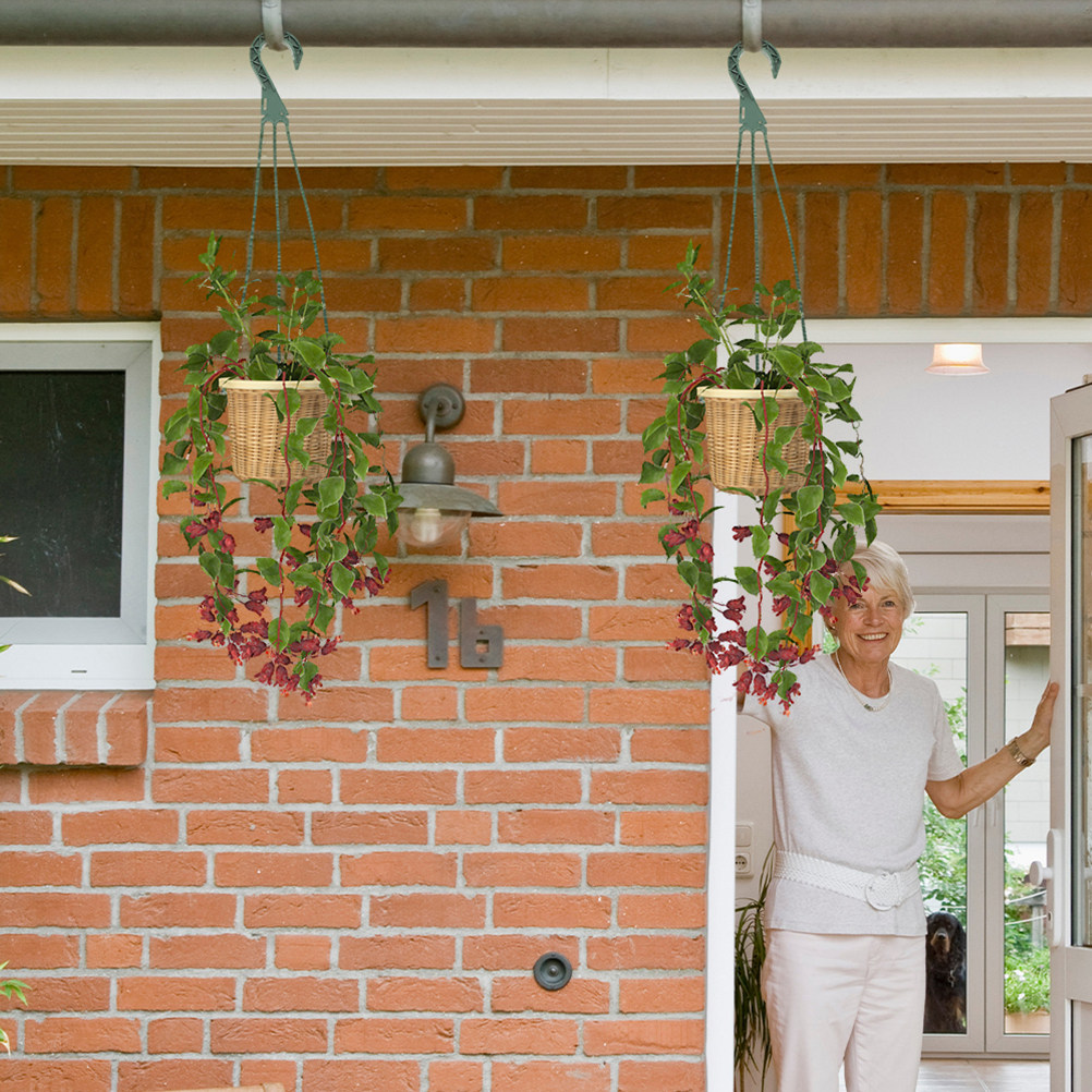 5Pcs Hanging Planter Hooks Ver - Spider Plant Hanging บทวิจารณ์และราคา