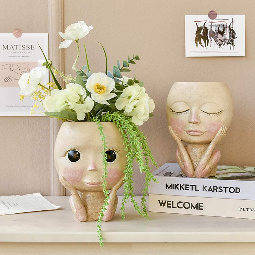 Girls Face Head Flower Planter - Echeveria Succulent บทวิจารณ์และราคา