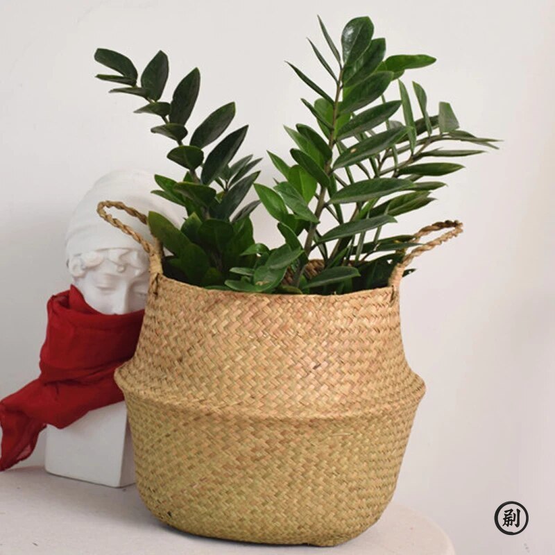 Wicker Basket Toy Organizer Fo - Aloe Vera Pot บทวิจารณ์และราคา