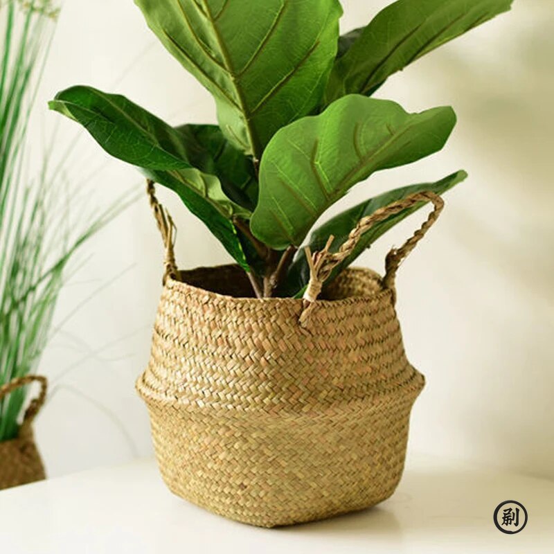 Wicker Basket Toy Organizer Fo - Aloe Vera Pot บทวิจารณ์และราคา