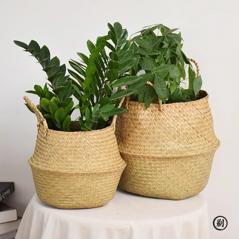Wicker Basket Toy Organizer Fo - Aloe Vera Pot บทวิจารณ์และราคา