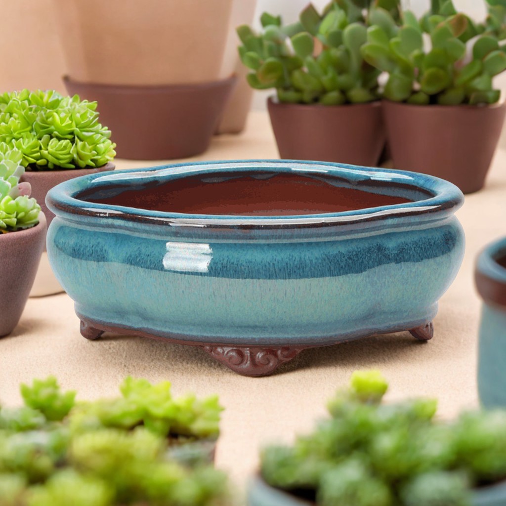 Ceramic Succulent Flower Pot C - Pilea Peperomioides บทวิจารณ์และราคา